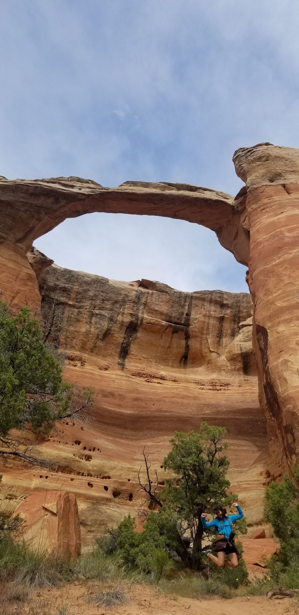 Rattlesnake Canyon Arches